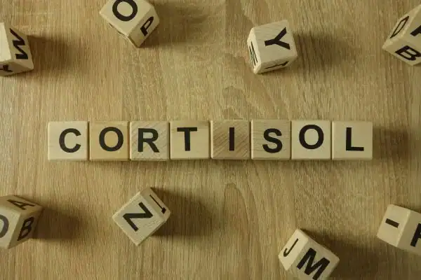 The Hidden Connection: How Stress Shapes Your Fitness and Body Composition 2 Image saying "Cortisol" and how stress Canvey Island impacts your wellbeing and bodies shape
